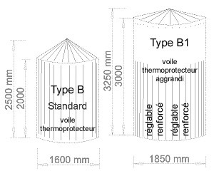 type b